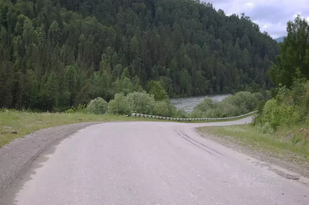 Участок в Алтай, Усть-Коксинский район, пос. Тюгурюк  (4.19 сот.) - Фото 1