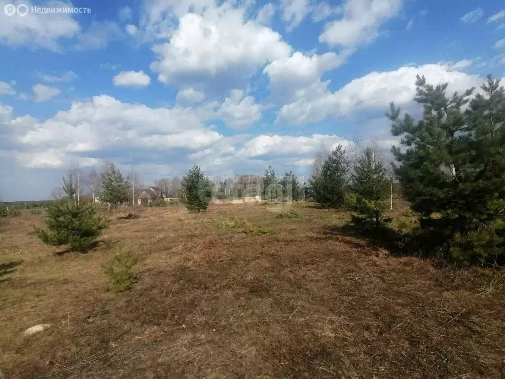 Участок в Владимирская область, Меленковский муниципальный округ, ... - Фото 0