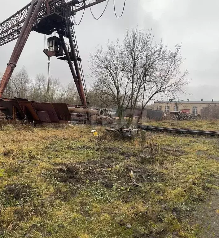 Помещение свободного назначения в Тульская область, Щекинский район, ... - Фото 1