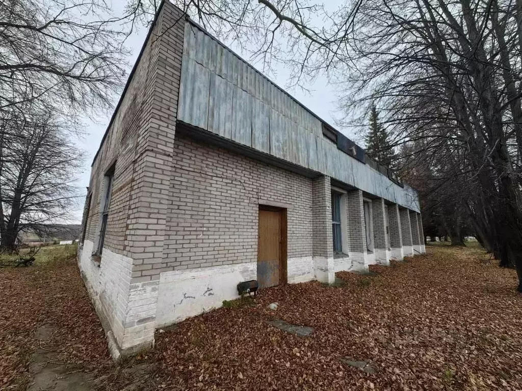 Производственное помещение в Новосибирская область, Тогучинский район, ... - Фото 1
