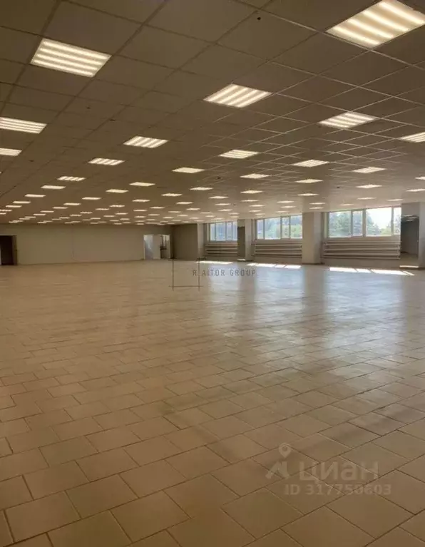 Торговая площадь в Новосибирская область, Новосибирск Выборная ул., ... - Фото 0