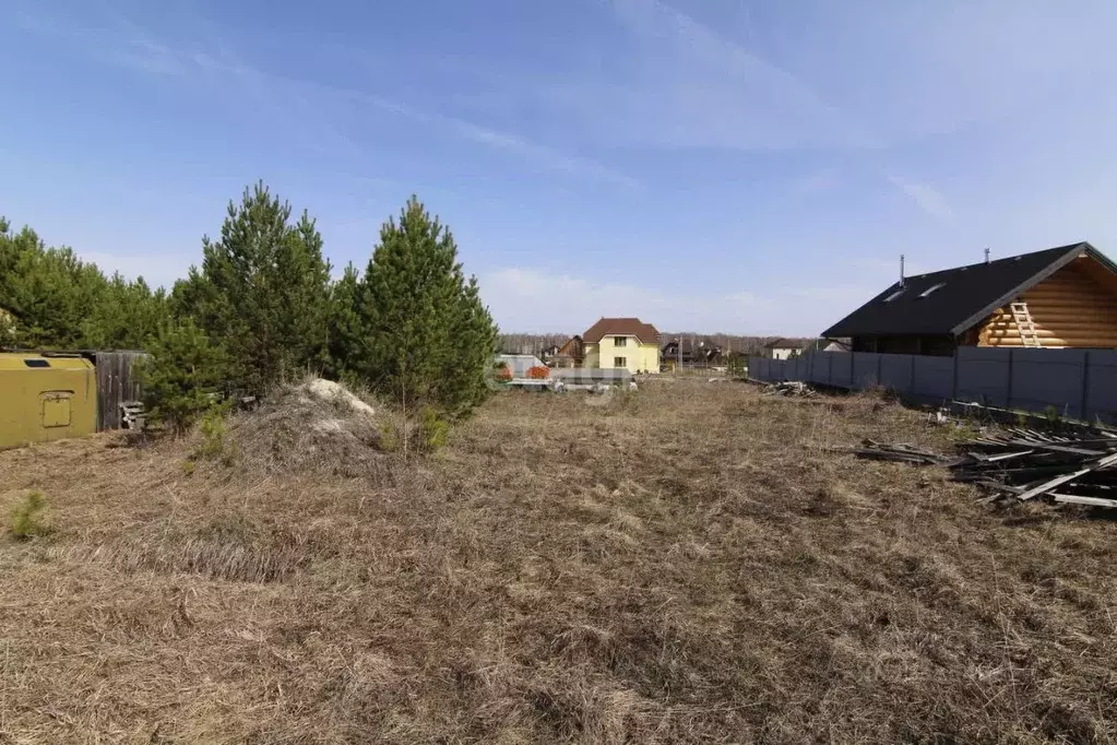 Участок в Тюменская область, Тюменский муниципальный округ, с. Кулига ... - Фото 1