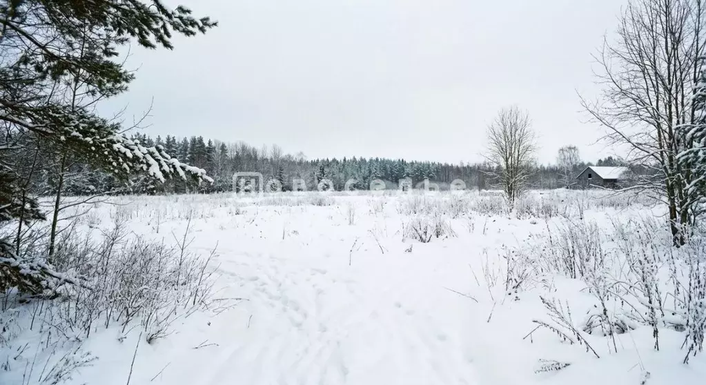 Участок в Рязанская область, Рязанский муниципальный округ, с. ... - Фото 2