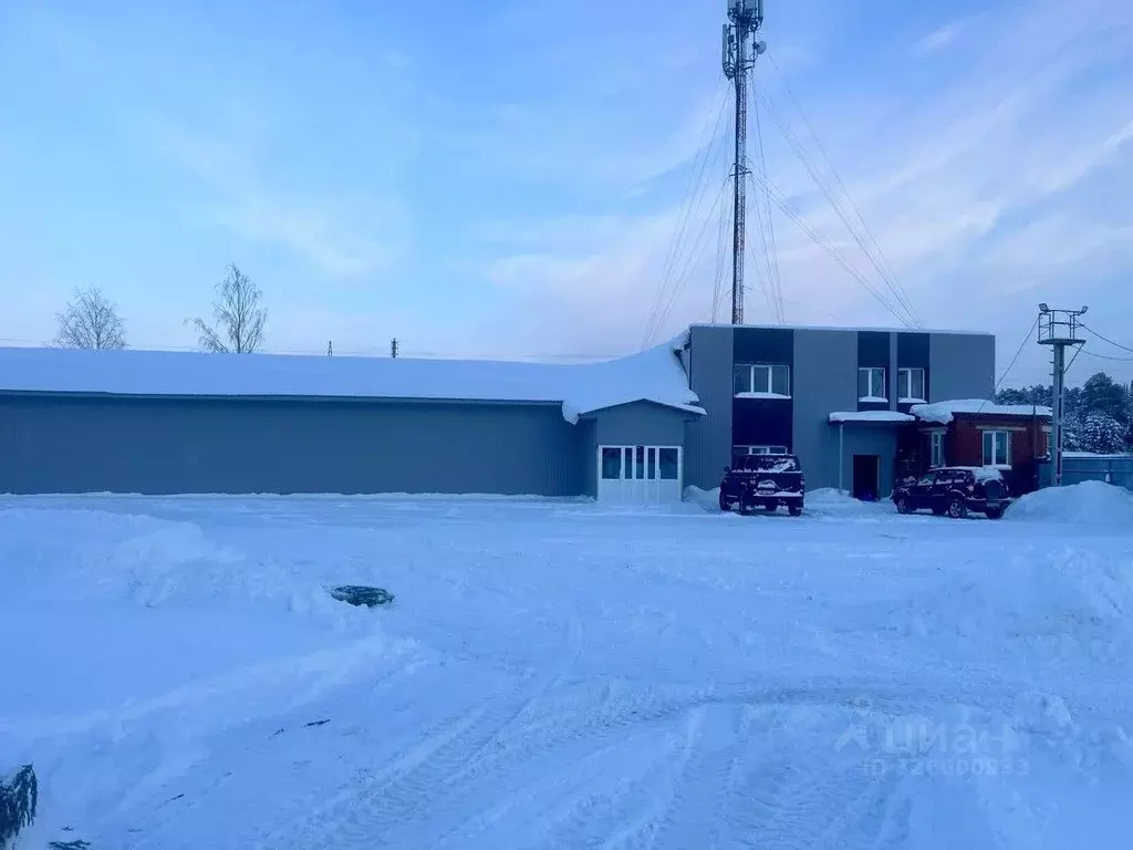 Помещение свободного назначения в Пермский край, пос. Ильинский ул. ... - Фото 2
