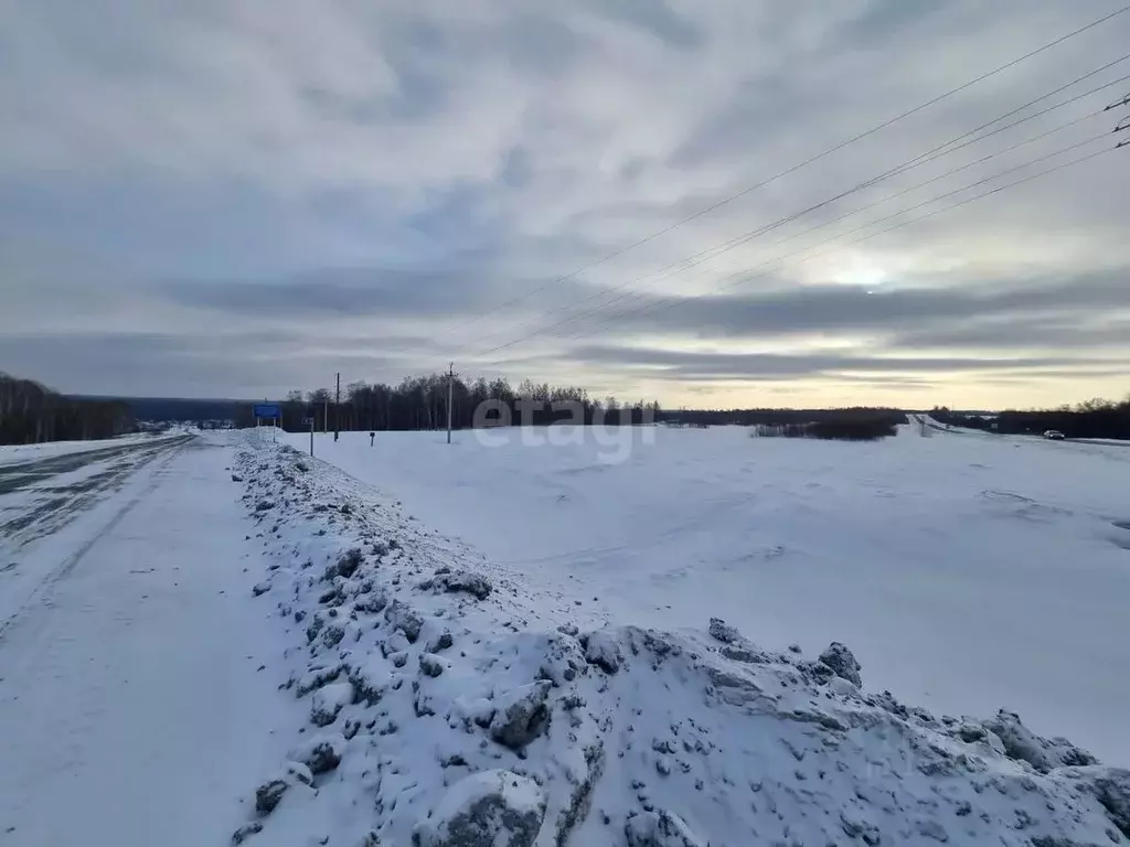 Участок в Кемеровская область, Кемеровский район, д. Осиновка  (640.0 ... - Фото 0