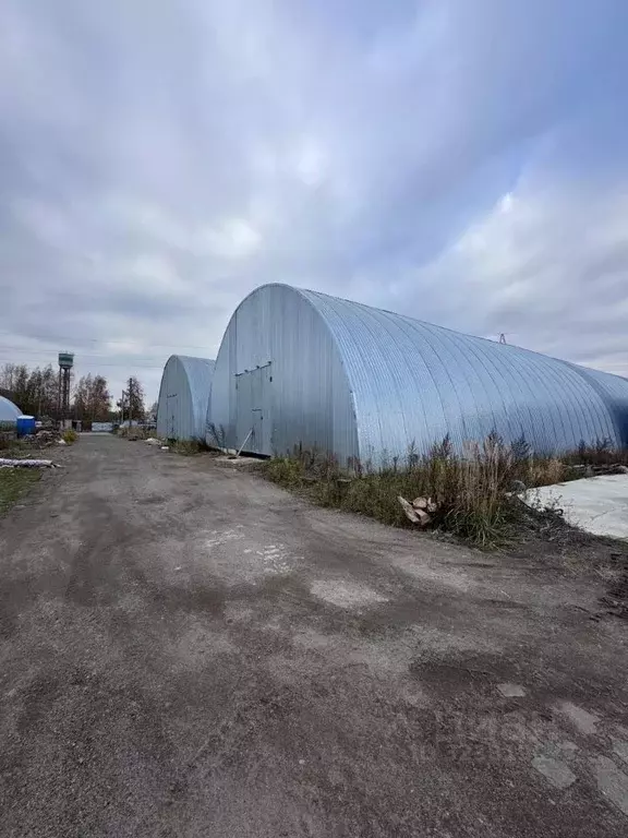 Склад в Ленинградская область, Всеволожский район, Заневское городское ... - Фото 2