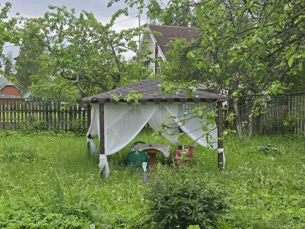 Участок в Ленинградская область, Гатчинский район, Вырица городской ... - Фото 2