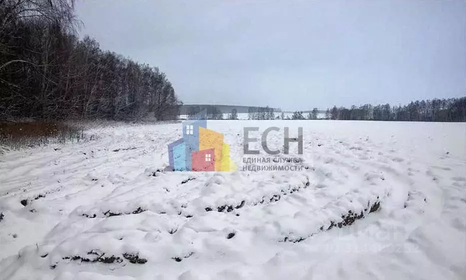 Участок в Тульская область, Новогуровский рп  (208.0 сот.) - Фото 1