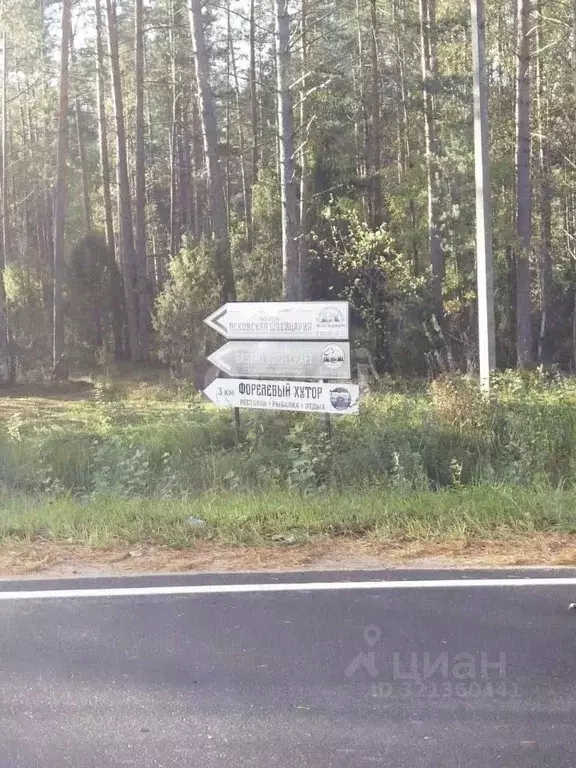 Участок в Псковская область, Печорский муниципальный округ, д. Вашина ... - Фото 1