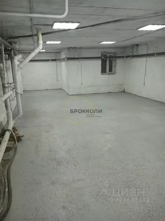 Помещение свободного назначения в Ростовская область, Ростов-на-Дону ... - Фото 2