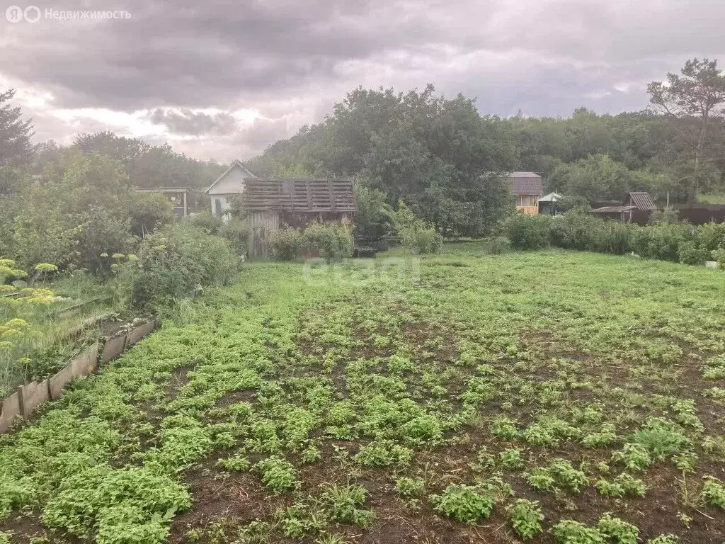 Участок в Благовещенск, СТ Маслобойного завода (5.3 м) - Фото 0