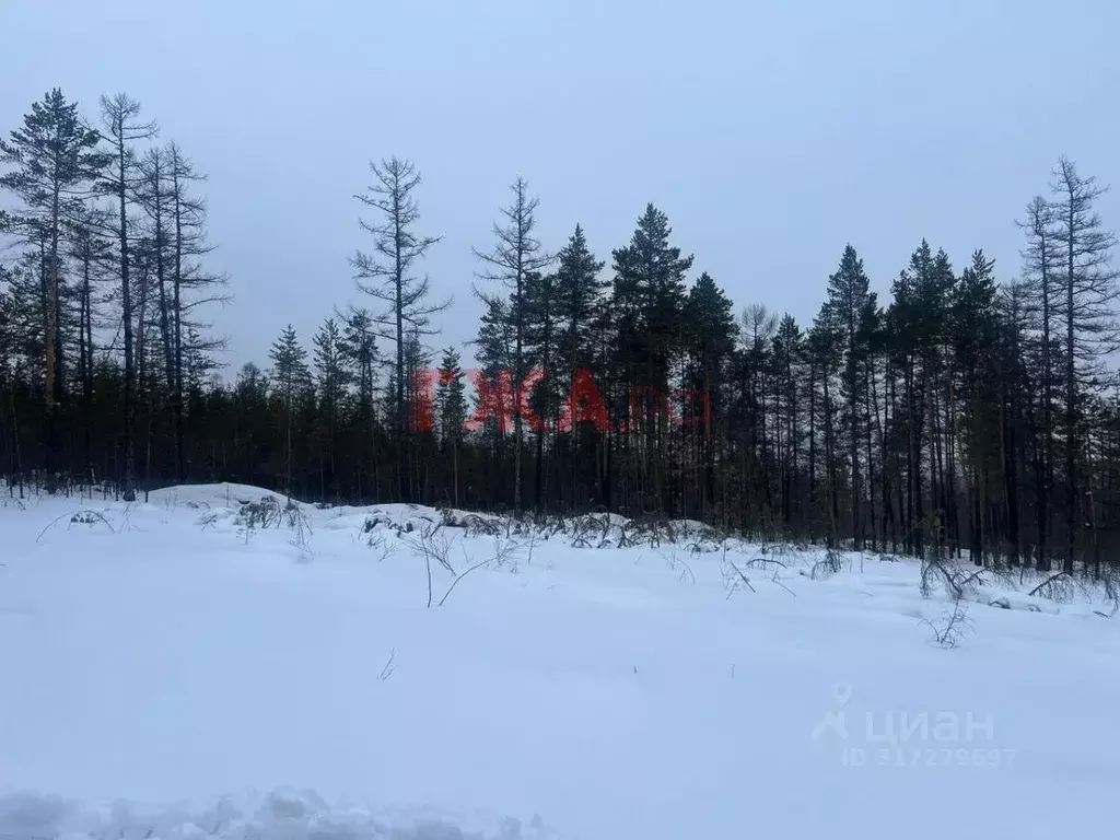 Участок в Саха (Якутия), Нерюнгри МИЗ кв-л,  (12.0 сот.) - Фото 1
