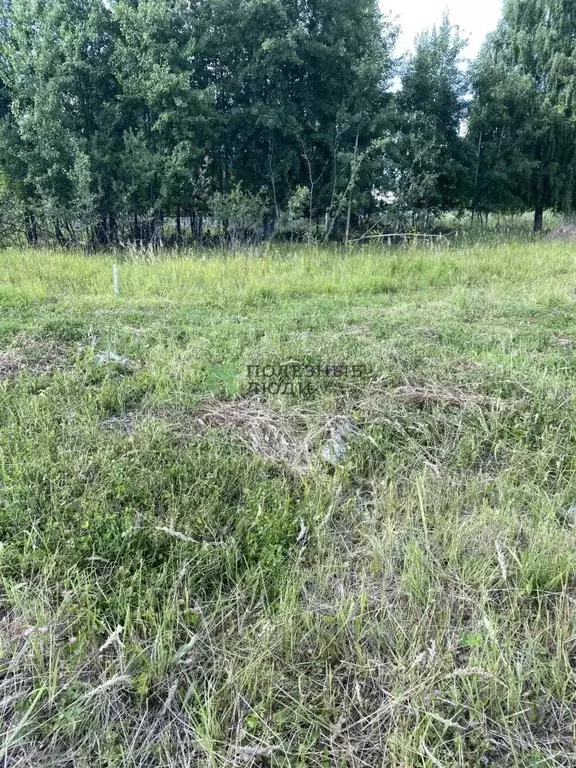 Участок в Марий Эл, Йошкар-Ола Тарханово мкр,  (10.0 сот.) - Фото 2