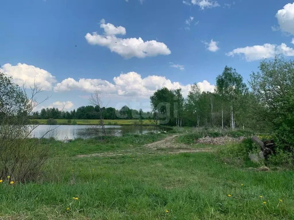 Участок в Ярославская область, Борисоглебский муниципальный округ, д. ... - Фото 2