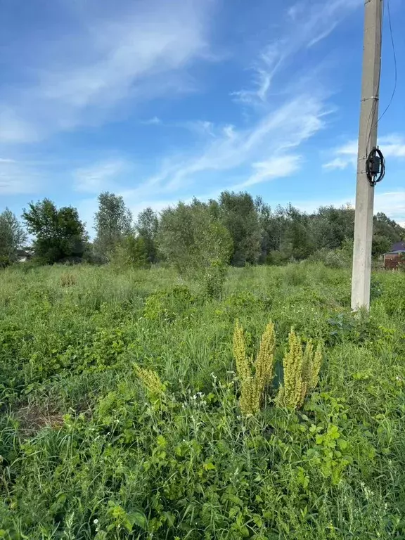 Участок 11 сот. (ИЖС) - Фото 1