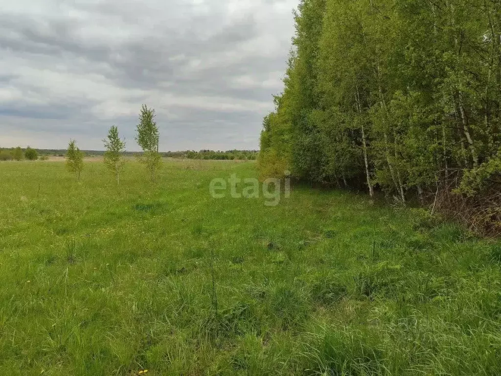 участок в тульская область, дубенский район, воскресенское . - Фото 0