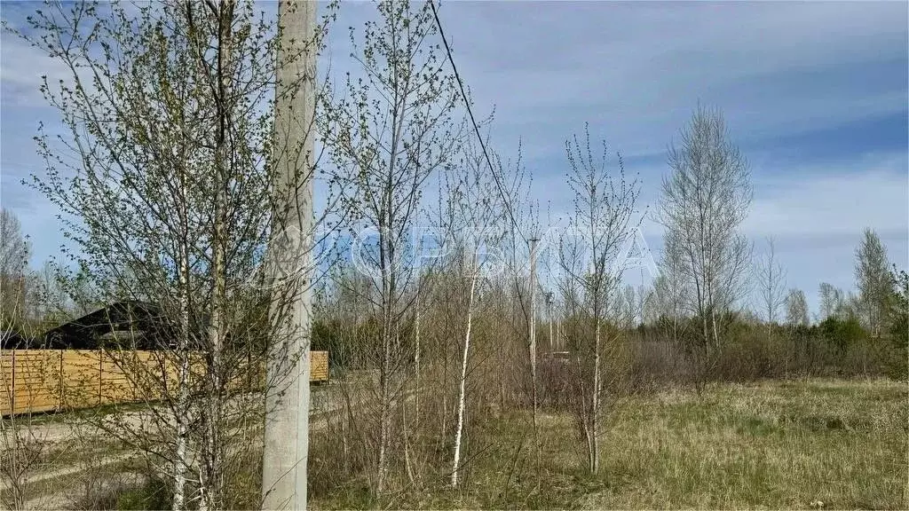Участок в Тюменская область, Тюмень Поле Чудес-2 садовое товарищество, ... - Фото 2
