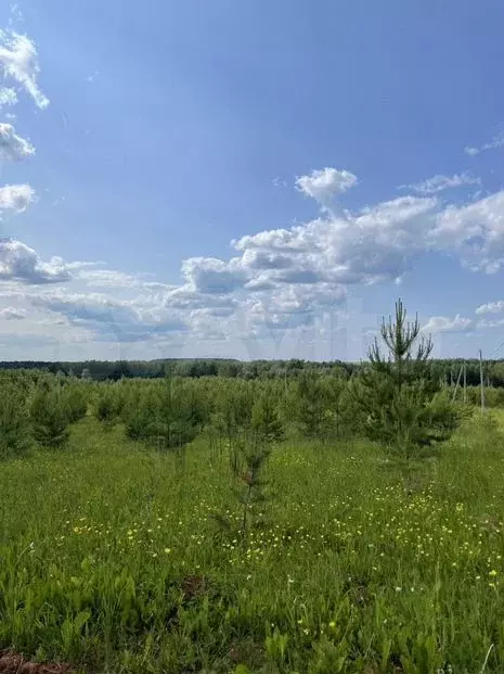 Участок 10сот. (ИЖС) - Фото 0