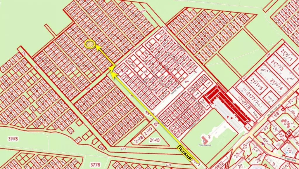 Участок в Ульяновская область, Димитровград ул. Курчатова (10.0 сот.) - Фото 2