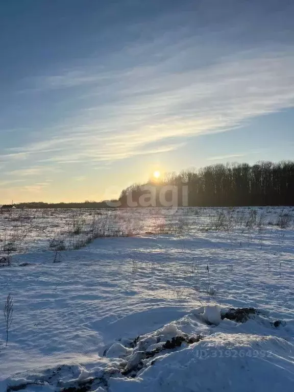 Участок в Курская область, Курский район, Моковский сельсовет, д. ... - Фото 0