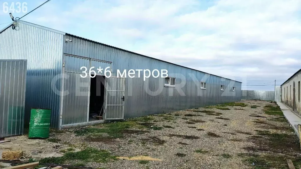 Склад в Крым, Сакский район, с. Уютное ул. Крымская, 38А (324 м) - Фото 2