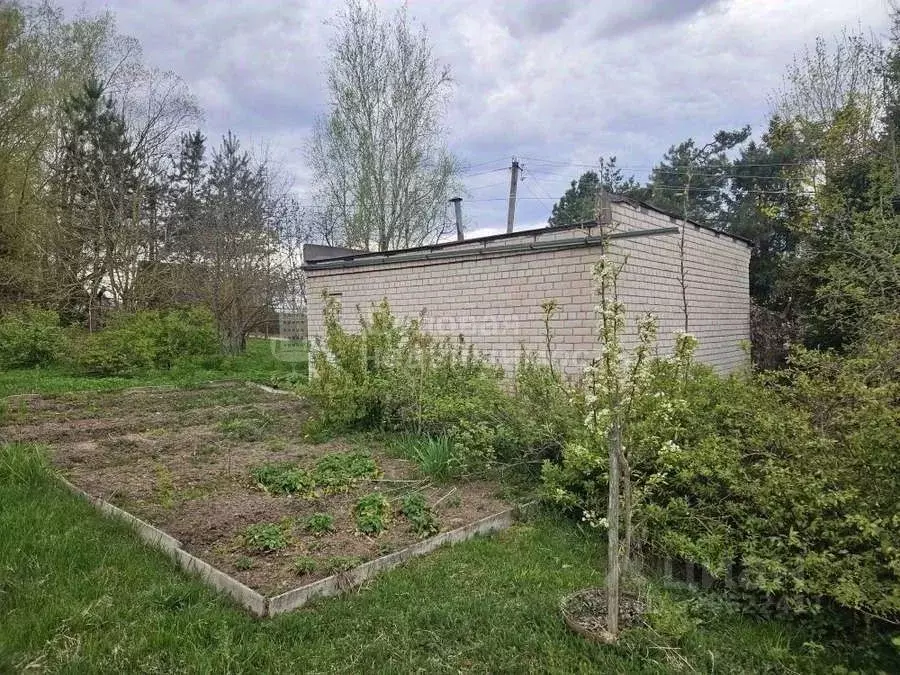 Участок в Новгородская область, Новгородский район, Савинское с/пос, ... - Фото 1