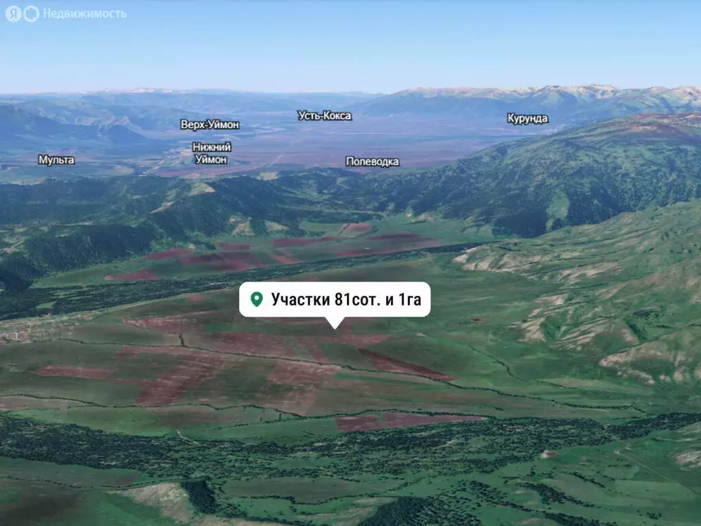 Участок в Усть-Коксинский район, село Усть-Кокса (181 м) - Фото 2