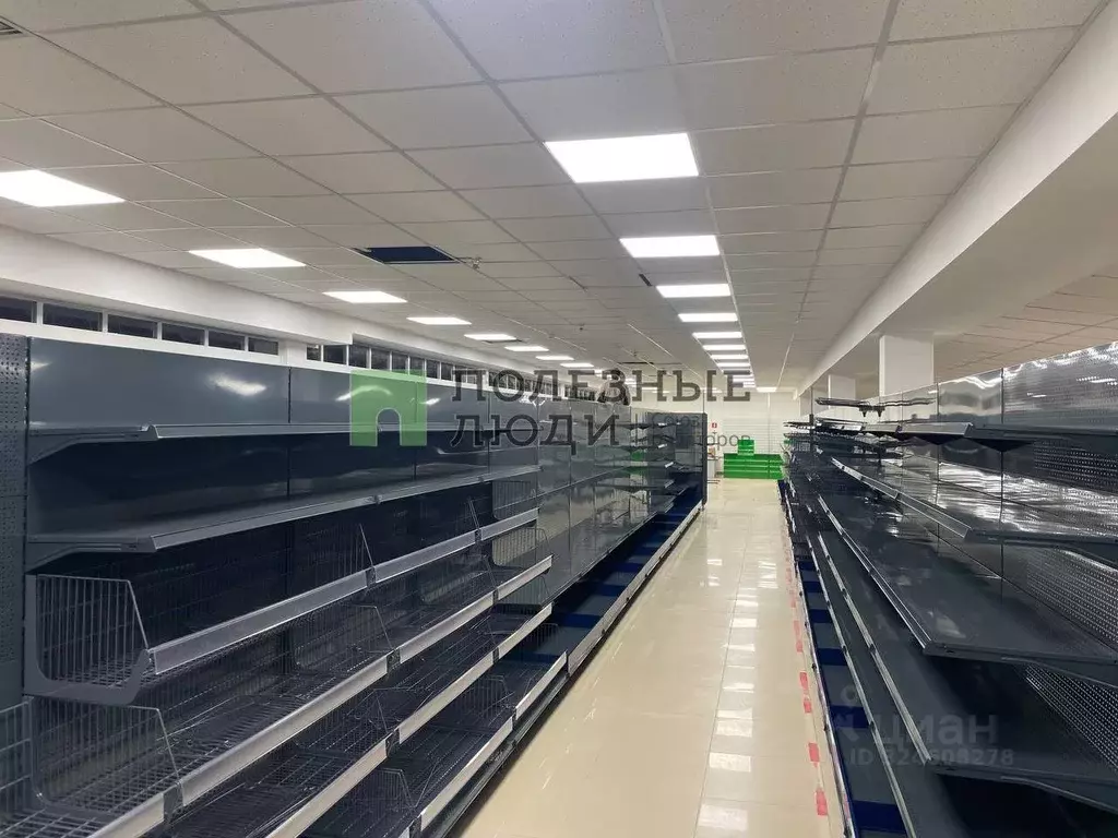 Помещение свободного назначения в Орловская область, Орел ... - Фото 2