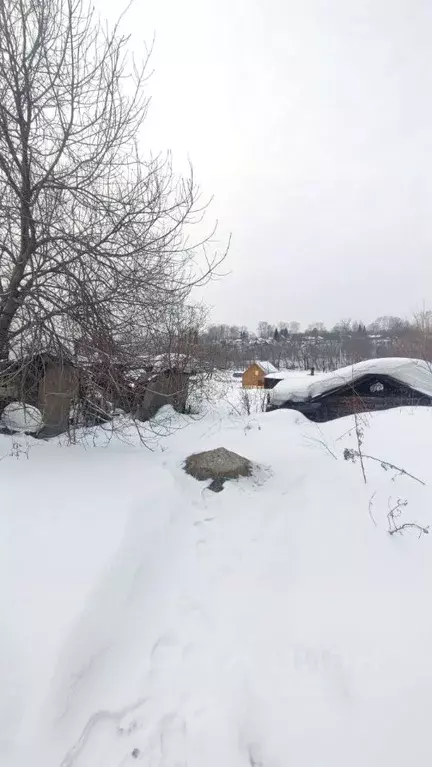 Участок в Кемеровская область, Кемерово Боровой жилрайон, ул. ... - Фото 1