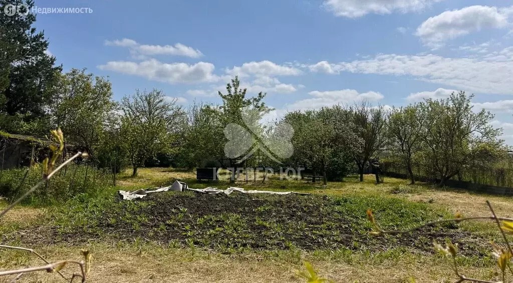 Участок в посёлок городского типа Черноморский, улица Некрасова (10 м) - Фото 2