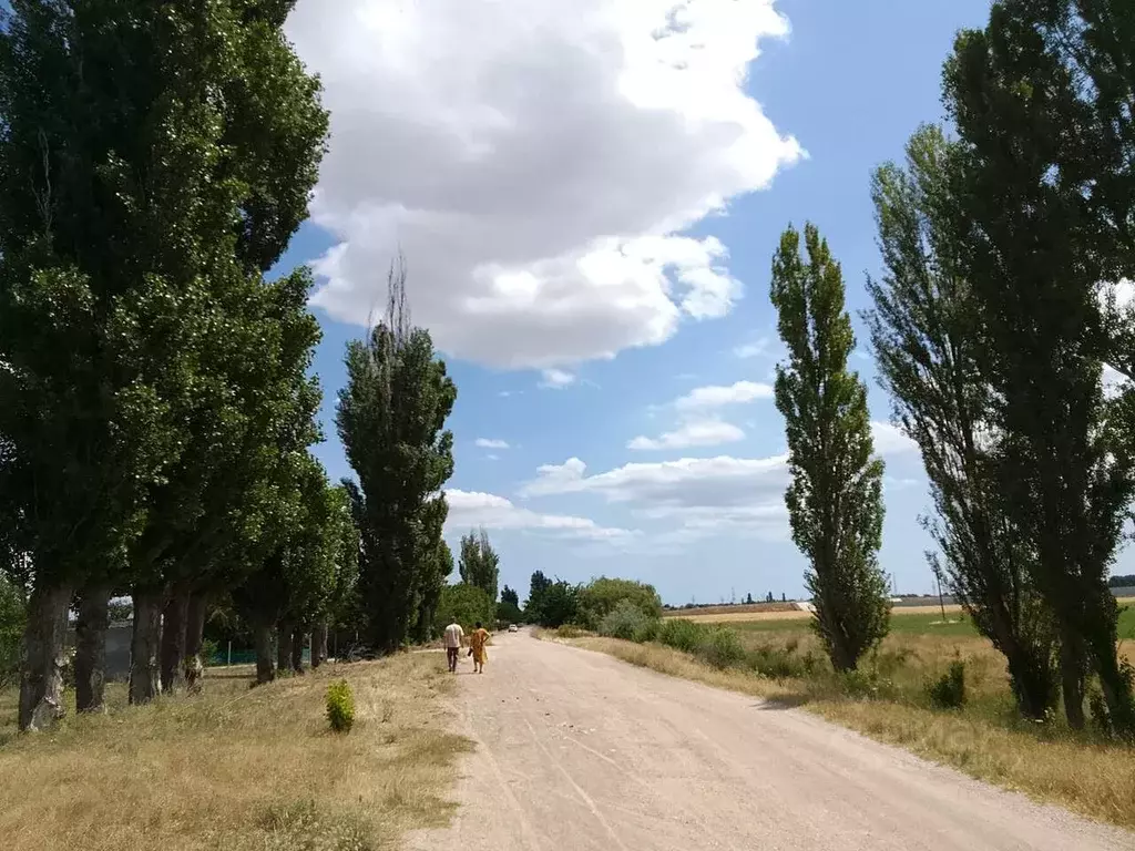 Участок в Крым, Кировский район, с. Абрикосовка ул. Садовая, 131 (10.0 ... - Фото 1