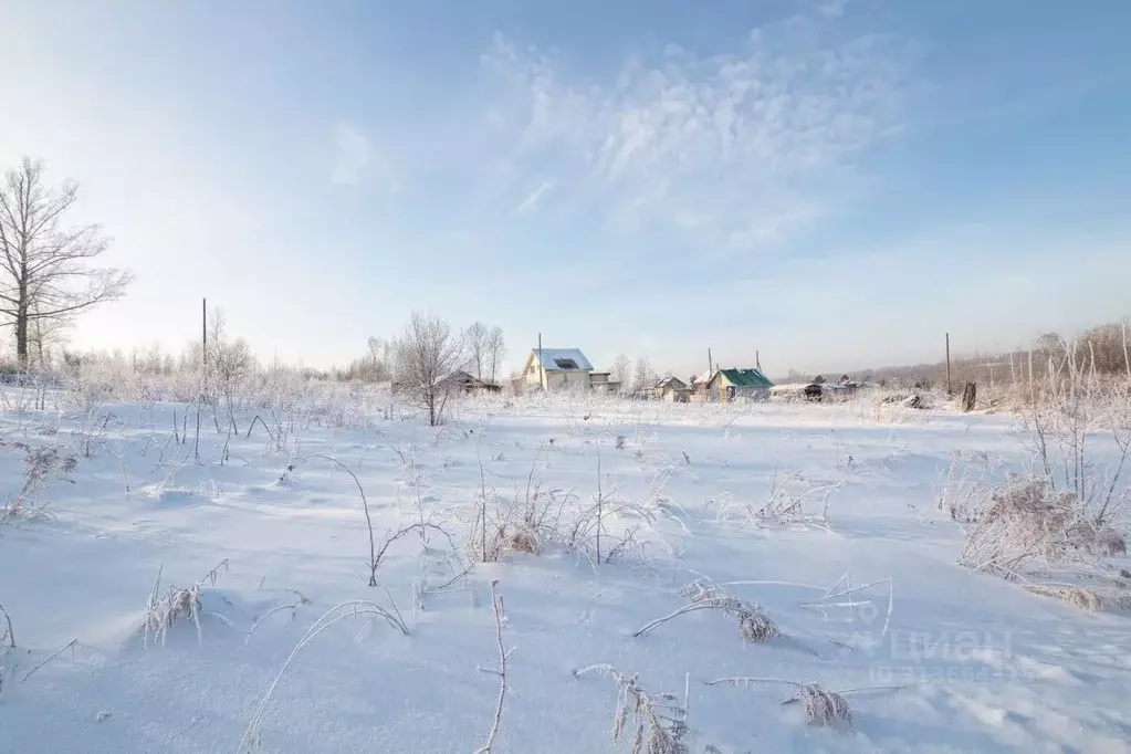 Участок в Новосибирская область, Новосибирский район, Барышевский ... - Фото 1