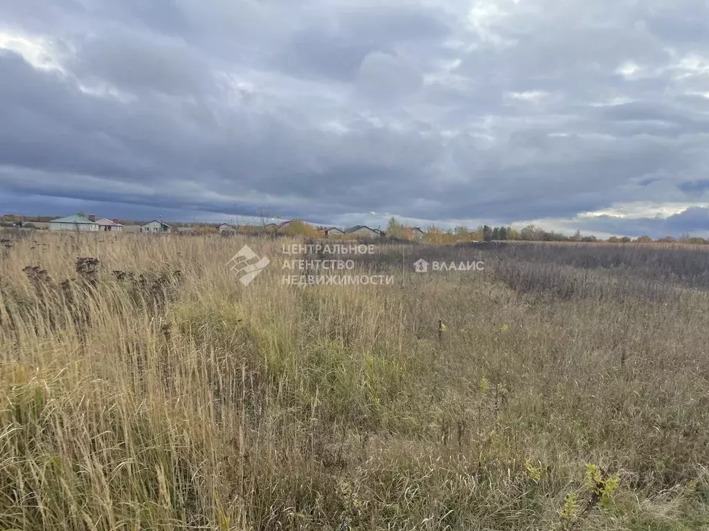 Участок в Рязанская область, Старожиловский район, Гребневское с/пос, ... - Фото 1