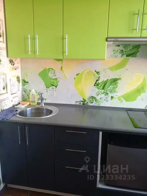 1-к кв. Омская область, Омск ул. Дмитриева, 3 (32.0 м) - Фото 2