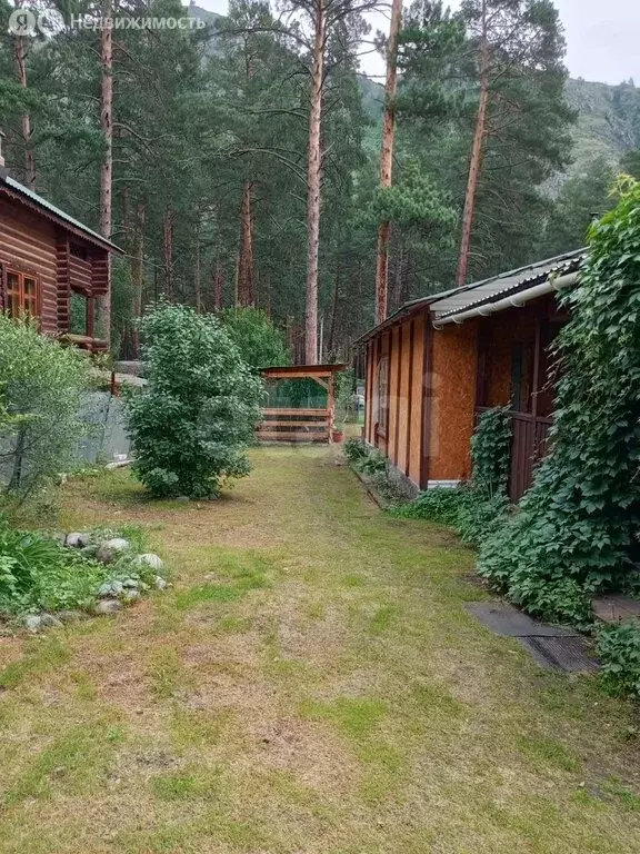 Дом в Чемальский район, село Чемал (79.7 м) - Фото 1