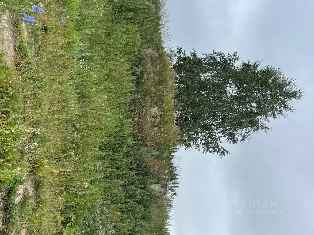 Производственное помещение в Марий Эл, Советский район, Михайловское ... - Фото 1