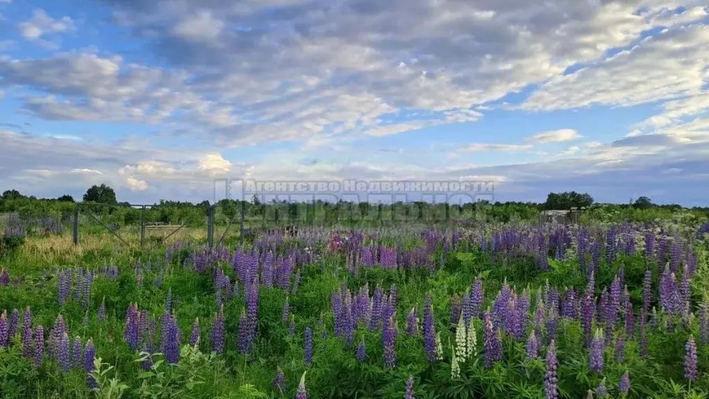 Участок в Смоленская область, Смоленский муниципальный округ, д. ... - Фото 1