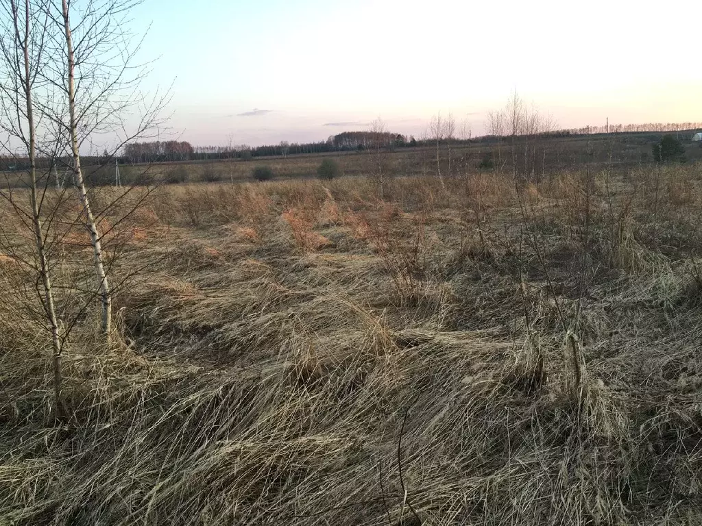 Участок в Нижегородская область, Богородский муниципальный округ, д. ... - Фото 1