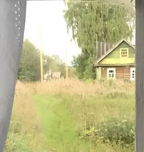 Участок в Ленинградская область, Лодейнопольский район, Алеховщинское ... - Фото 1