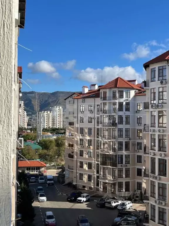 Помещение свободного назначения в Краснодарский край, Геленджик ... - Фото 2