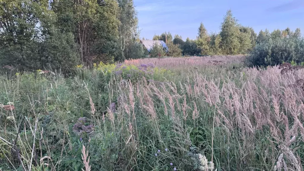 Участок в Калужская область, Жуковский район, Корсаково с/пос, ... - Фото 2