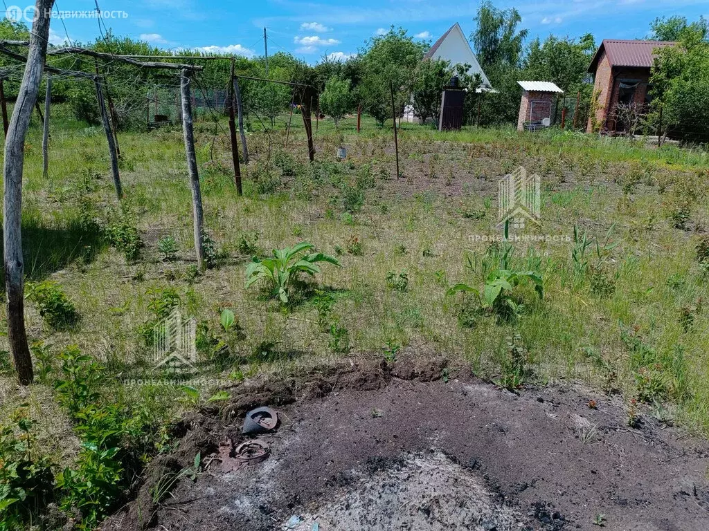 Участок в Ростов-на-Дону, садоводческое некоммерческое товарищество ... - Фото 1