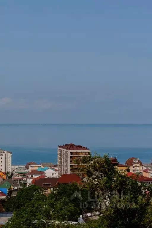 1-к кв. Краснодарский край, Сочи ул. Ленина, 298В/3 (26.0 м) - Фото 1