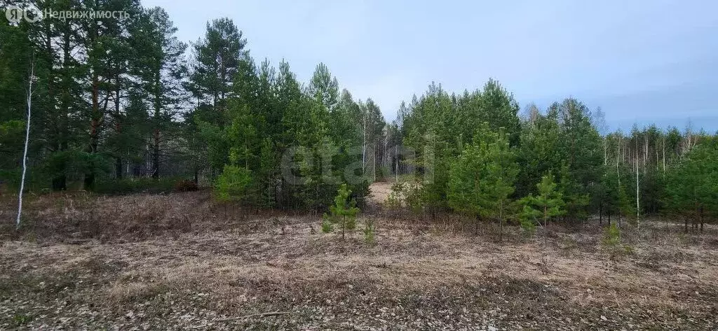Участок в Нижнетавдинский район, село Бухтал (10 м) - Фото 1