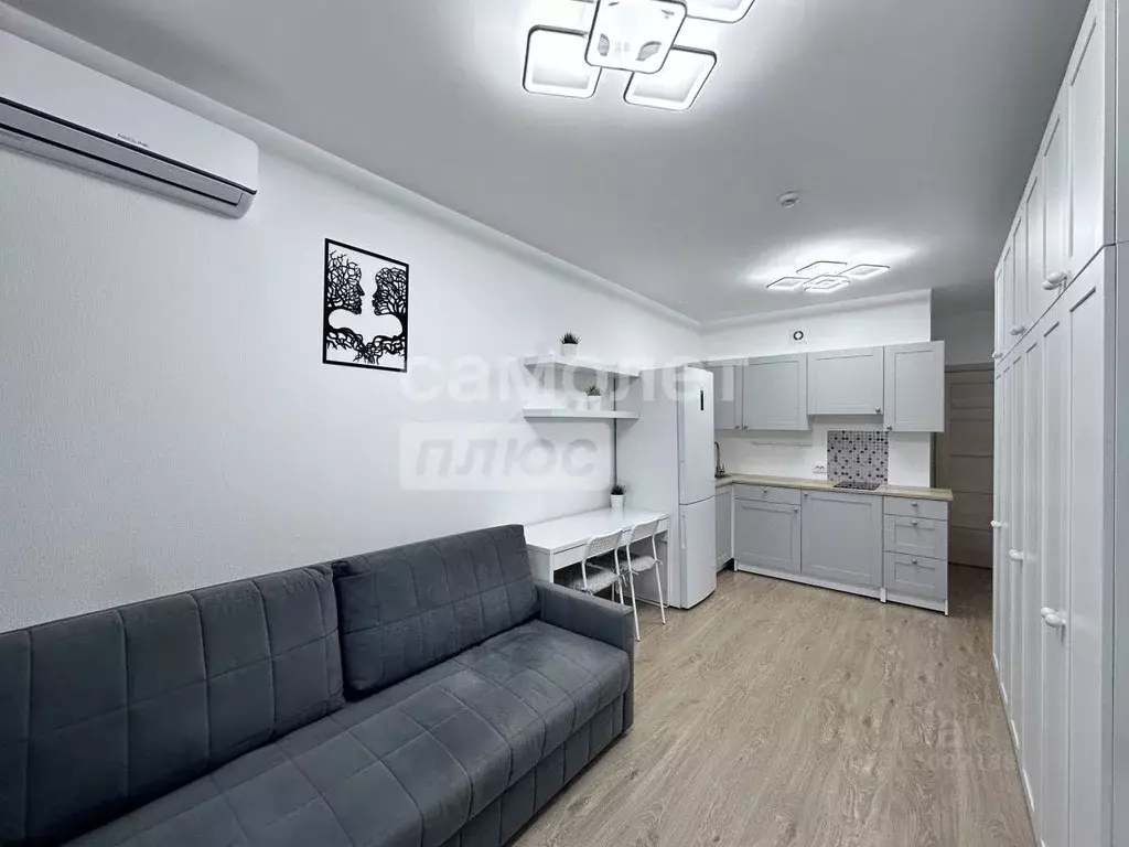 Студия Санкт-Петербург ул. Летчика Лихолетова, 14к2 (24.5 м) - Фото 1