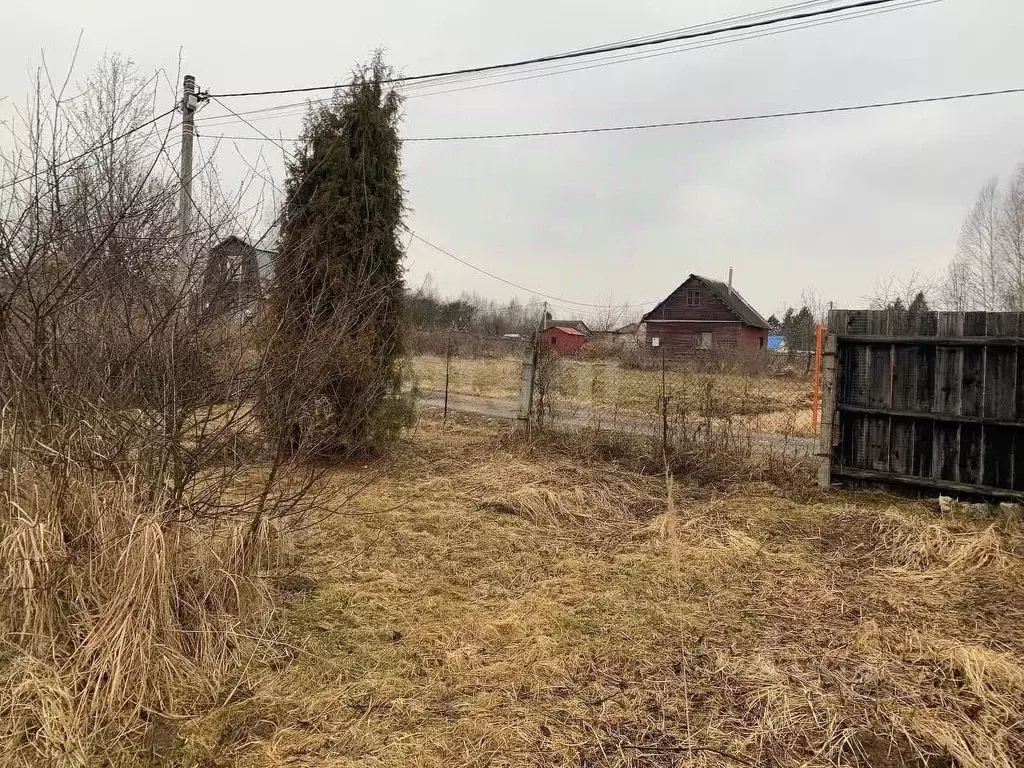 Участок в Ярославская область, Ярославский муниципальный округ, Бор ... - Фото 1