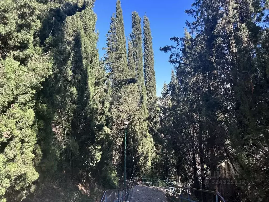 Участок в Крым, Алушта муниципальный округ, Партенит пгт пер. ... - Фото 2