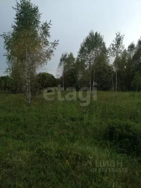 Участок в Тульская область, Заокский район, Демидовское с/пос, Вашана ... - Фото 1