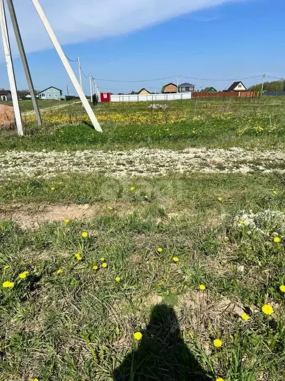 Участок в Ленинградская область, Гатчинский муниципальный округ, д. ... - Фото 1