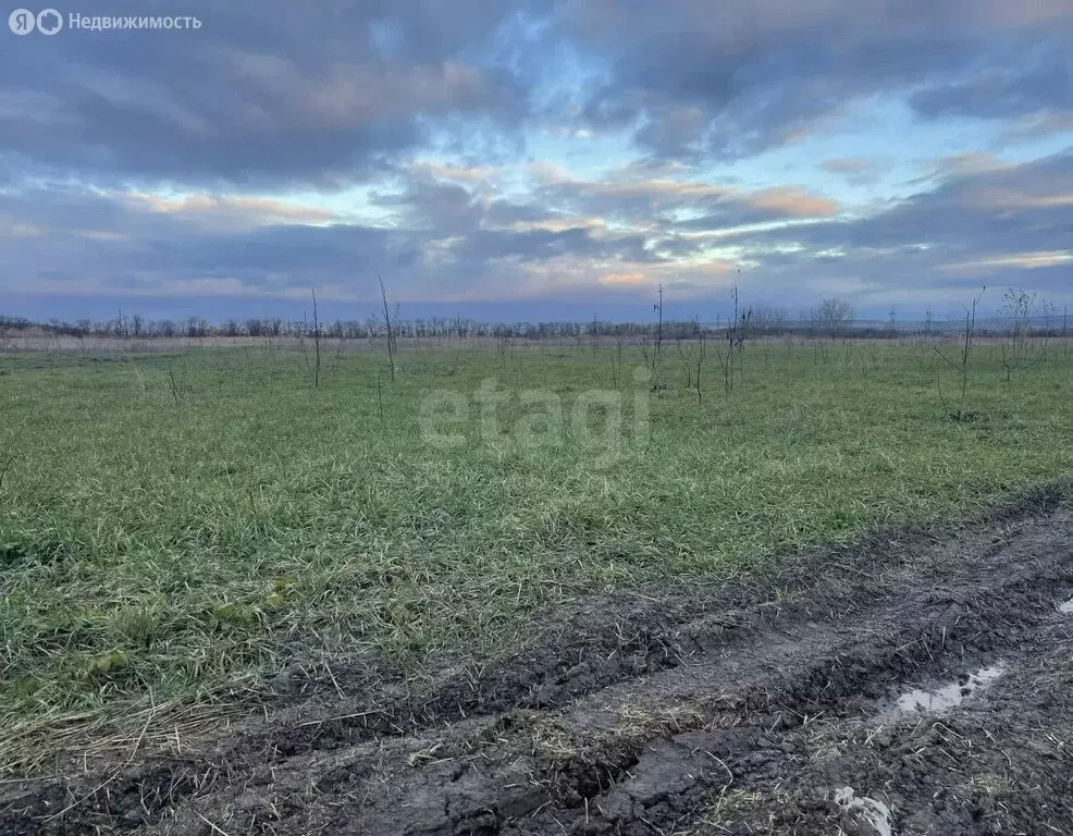 Участок в Краснодарский край, Анапа (1178 м) - Фото 2